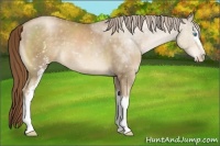 Horse Color:White Spotted Chocolate Smoky Black Pearl
