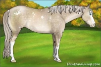 Horse Color:White Spotted Chocolate Palomino Pearl 