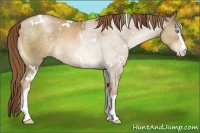 Horse Color:White Spotted Chocolate Smoky Black Pearl