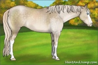 Horse Color:White Spotted Chocolate Palomino Pearl 