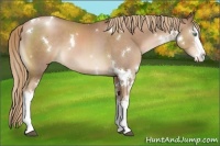 Horse Color:White Spotted Liver Chestnut Pearl 