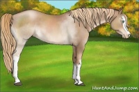 Horse Color:White Spotted Liver Chestnut Pearl Sabino 