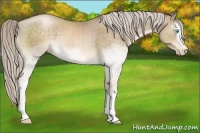 Horse Color:White Spotted Chocolate Palomino Pearl 