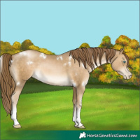 Horse Color:White Spotted Chocolate Smoky Black Pearl
