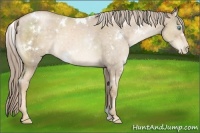 Horse Color:White Spotted Chocolate Palomino Pearl 