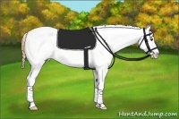 Horse Color:Buckskin Dun Appaloosa Rabicano 
