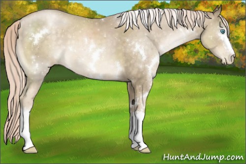 Horse Color:White Spotted Chocolate Palomino Pearl 