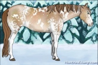Horse Color:White Spotted Liver Chestnut Pearl 