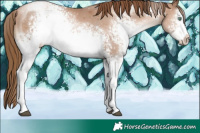 Horse Color:White Spotted Liver Chestnut Pearl 