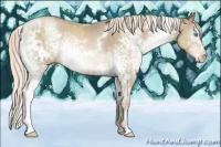Horse Color:White Spotted Chocolate Palomino Pearl 