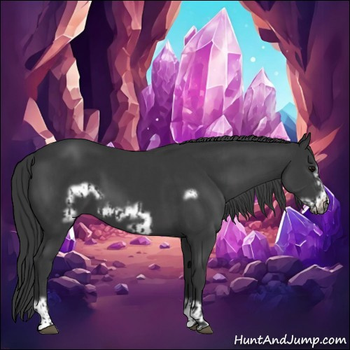 Horse Color:Black  and Black Frame 
