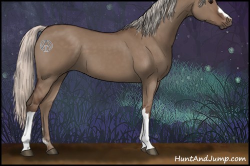 Horse Color:Silver Grullo