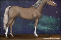 Horse Color:Silver Grullo 