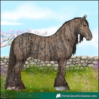 Horse Color:Black and Classic Champagne