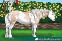 Horse Color:White Spotted Silver Smoky Black Pearl Splash 