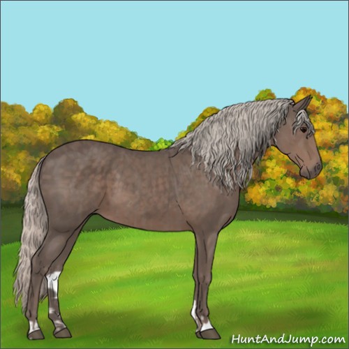 Horse Color:Silver Black  and Silver Black 