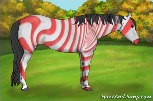 Horse Color:Blue Roan Tobiano