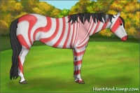 Horse Color:Blue Roan Tobiano 