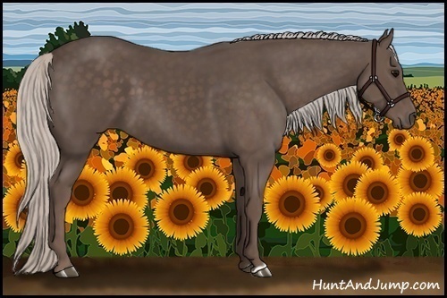 Horse Color:Silver Black 