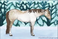 Horse Color:White Spotted Grullo Pearl Sabino Rabicano 