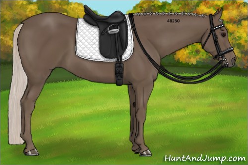 Horse Color:Silver Black 