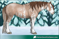 Horse Color:Brown Ice Pearl Sabino Splash 