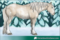 Horse Color:Silver Buckskin Ice Pearl Sabino 