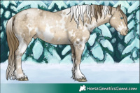 Horse Color:White Spotted Buckskin Ice Pearl 