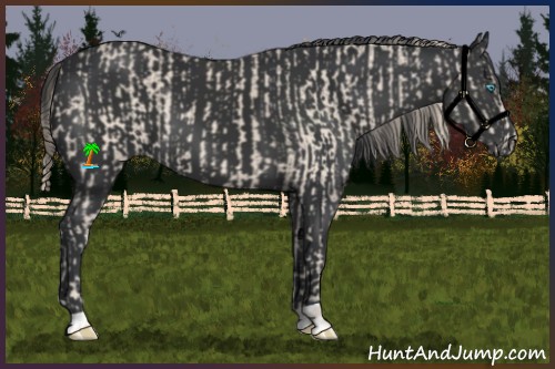 Horse Color:Smoky Creme  and Black 