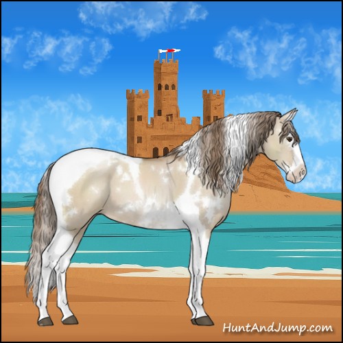 Horse Color:White Spotted Grullo Pearl Splash Tobiano