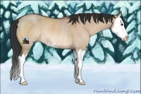 Horse Color:Brown Dun Sabino Splash Rabicano