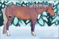 Horse Color:Watercolor Silver Brown 