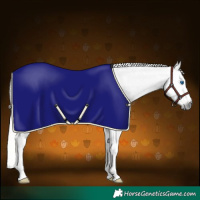 Horse Color:Gray White Spotted Silver Black Splash Rabicano 