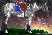 Horse Color:White Spotted Black Ice Rabicano 