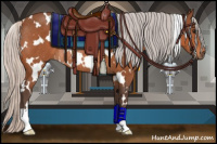 Horse Color:White Spotted Silver Bay Rabicano