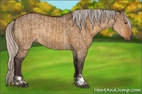 Horse Color:Silver Brown Dun  and Silver Buckskin Dun 