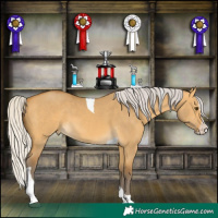 Horse Color:Silver Buckskin Dun Splash Tobiano