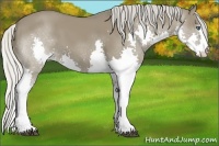 Horse Color:Silver Smoky Grullo Splash