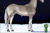 Horse Color:Void Platinum Silver Blue Onyx