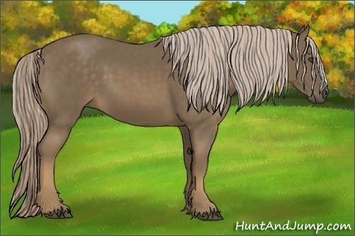 Horse Color:Chocolate Palomino 