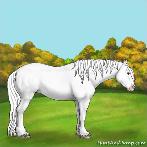 Horse Color:Silver Sable Champagne Chinchilla Onyx Appaloosa Brindle 