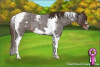 Horse Color:Liver Red Roan Tobiano Frame