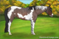 Horse Color:Brown Roan Tobiano Frame 
