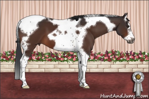 Horse Color:Brown Splash Tobiano Frame 