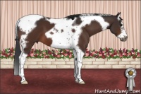 Horse Color:Brown Splash Tobiano Frame 