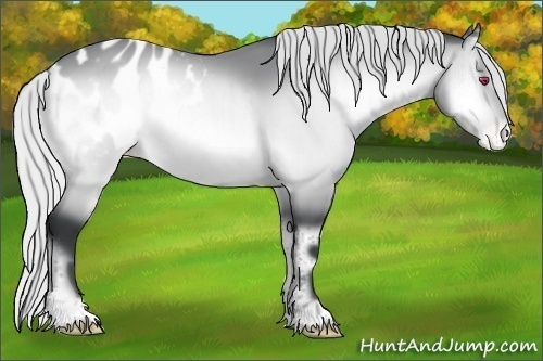 Horse Color:Silver Brown Chinchilla Onyx Appaloosa Brindle 