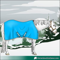 Horse Color:Silver Bay Dun Sabino Splash 