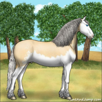 Horse Color:Silver Buckskin Dun Sabino Splash