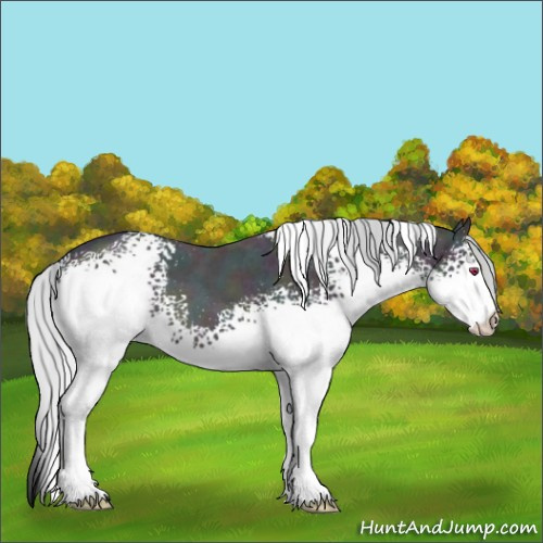 Horse Color:White Spotted Midnight Silver Bay Chinchilla Ice Roan Dun 