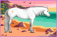 Horse Color:Gray Brown Appaloosa  and Gray Brown Appaloosa 